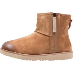 UGG CLASSIC męska UGG CLASSIC męska