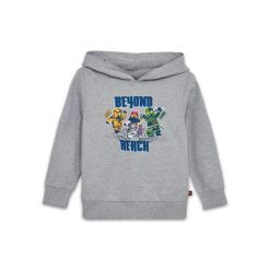 Bluza z Kapturem Dziecięca LEGO NINJAGO Scout 302 Szara. Szare bluzy dla chłopców LEGO, bez wzorów, z bawełny, bez ramiączek, z kapturem. Za 104.49 zł.