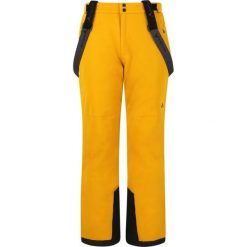 Pantalony narciarskie Whistler Gippslang Pro. Żółte spodnie sportowe męskie Whistler, na zimę, m, bez wzorów, narciarskie. Za 415.00 zł.