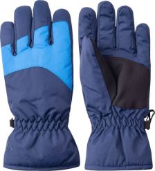 Eevi Dziecięce rękawice ocieplane Martes essentials LUVA KIDS insignia blue/indigo bunting rozmiar S/M. Niebieskie rękawiczki dziecięce Eevi, bez wzorów. Za 59.38 zł.