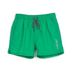 Zielone Szorty Rainmaking. Spodnie materiałowe męskie Born2be. Za 39.99 zł.