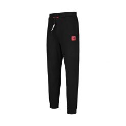 Spodnie dresowe damskie DIADORA L. JOGGER PANT URBANITY S. Czarne spodnie dresowe damskie Diadora, l, bez wzorów, z dresówki. Za 109.99 zł.