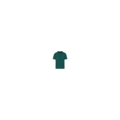 Protest PRTGeoff t-shirt - Dark Teal. Zielone koszulki sportowe męskie Protest, bez wzorów, bez kołnierzyka, bez ramiączek, na fitness i siłownię. Za 291.50 zł.