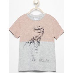 T-shirt z dinozaurem - Jasny szar. T-shirty damskie Reserved. W wyprzedaży za 14.99 zł.