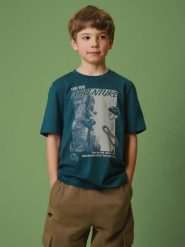 4F T-shirt regular z nadrukiem chłopięcy - turkusowy 158 (12-13 lat). Niebieskie t-shirty dla chłopców 4f, bez wzorów, z bawełny, bez ramiączek. Za 49.99 zł.