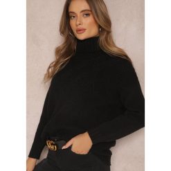 Czarny Golf Aldeimon. Czarne swetry damskie Renee, bez wzorów, z dzianiny, biznesowe, bez kołnierzyka, bez ramiączek, długie, bez kaptura. Za 99.99 zł.