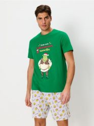 Piżama dwuczęściowa Shrek - zielony. Zielone piżamy męskie Sinsay, l, bez wzorów, z gumy, bez ramiączek, krótkie. Za 49.99 zł.