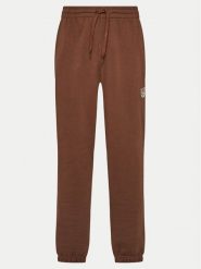 Reebok Spodnie dresowe Cl Ae Pant 100202799 Brązowy Regular Fit. Brązowe spodnie dresowe damskie Reebok, xs, bez wzorów, z bawełny. Za 179.99 zł.