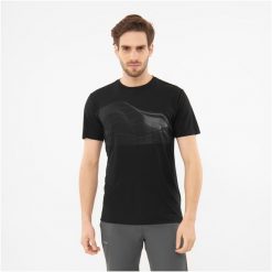 T-shirt męski VIKING Morain. Brązowe t-shirty męskie Viking, m, bez wzorów, bez kołnierzyka. Za 119.99 zł.
