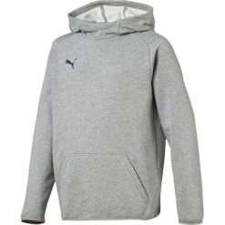Bluza dla chłopca Puma Liga Casuals Hoody szara 655636 33 128cm. Szare bluzy dla chłopców Puma, bez wzorów, bez ramiączek, bez kaptura. Za 206.72 zł.
