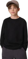 4f Koszulka dla chłopca longsleeve M459 czarna 4FJWMM00TLONM459 20S 164cm. Czarne t-shirty dla chłopców 4f, bez wzorów, bez ramiączek. Za 59.98 zł.