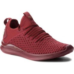 Buty PUMA - Ignite Flash Varsity 191114 02 Pomegranate/Metallic Gold. Czerwone obuwie sportowe damskie Puma, z materiału. W wyprzedaży za 259.00 zł.