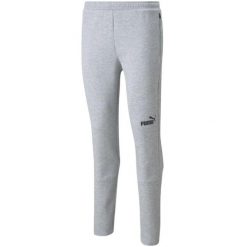 Męskie Spodnie Do Biegania TeamFINAL. Szare spodnie sportowe męskie Puma, m, bez wzorów, z dresówki, do biegania. Za 250.99 zł.