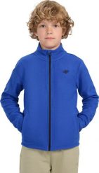 4f Polar dla chłopca 4F M413 kobaltowy 4FJWAW25TFLEM413 36S 158. Niebieskie bluzy dla chłopców 4f, bez wzorów, z polaru, bez ramiączek, bez kaptura. Za 69.64 zł.