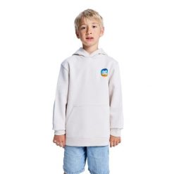 Bluza z kapturem dla Chłopcy SHAPE OR DESTROY Beżowy. Brązowe bluzy dla chłopców DC Shoes, bez wzorów, z bawełny, bez ramiączek, z kapturem. Za 219.99 zł.