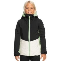 Kurtka narciarska dla dzieci Roxy Silverwinter membraną 10K. Czarne kurtki i płaszcze dla dziewczynek Roxy, na zimę, bez wzorów, z poliesteru, bez kaptura. Za 402.00 zł.