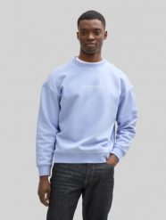 Męska Bluza Tom Tailor Relaxed Printed Crewneck Brunnera Blue 1045579 11486. Niebieskie bluzy męskie Tom Tailor, m, bez wzorów, bez kaptura. Za 119.99 zł.