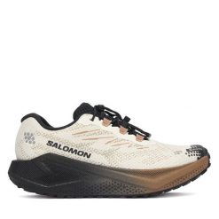Buty do biegania Salomon. Brązowe obuwie sportowe damskie Salomon, bez wzorów, z gore-texu, do biegania. Za 689.99 zł.