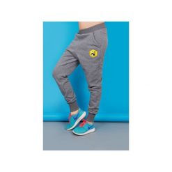 Spodnie Loose Szare Panda. Szare spodnie dresowe damskie Zookiwear, z bawełny. Za 199.00 zł.