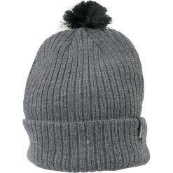 Adidas Neo Pompom Beanie AZ1301. Czapki i kapelusze męskie marki Adidas. W wyprzedaży za 49.99 zł.