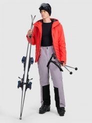 4F Spodnie narciarskie z szelkami membrana Dermizax 20000 męskie - szare S. Szare spodnie snowboardowe męskie 4f, m, bez wzorów, narciarskie, Dermizax. Za 999.99 zł.