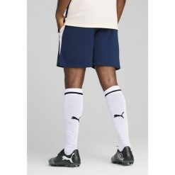 Męskie szorty treningowe Portugalia PUMA Persian Blue Sugared Almond Beige. Brązowe krótkie spodenki sportowe męskie Puma, l, bez wzorów, do piłki nożnej. Za 199.00 zł.