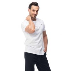 T-shirt Męski Playo. Białe t-shirty męskie Hi-tec, l, bez wzorów, z bawełny, klasyczne, bez kołnierzyka. Za 59.55 zł.