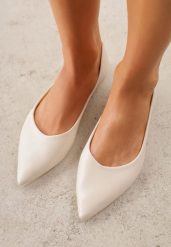 Jasnobeżowe Balerinki ze Szpiczastymi Noskami w Eleganckim Stylu Lagenaria. Brązowe baleriny damskie Renee, bez wzorów, z jeansu, eleganckie, bez obcasa. Za 59.99 zł.