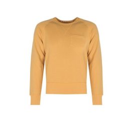 Bluza trekking męska. Żółte bluzy męskie Champion, m, bez wzorów, z bawełny, bez kaptura. Za 198.00 zł.