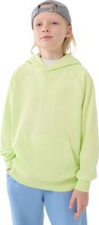 Bluza dla chłopca 4F M1712 soczysta zieleń neon 4FJWSS25TSWSM1712 45N 140cm. Zielone bluzy dla chłopców 4f, bez wzorów, bez ramiączek, bez kaptura. Za 151.27 zł.