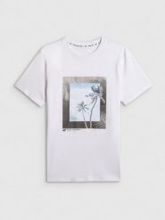 T-shirt regular z nadrukiem męski 4F 4FWSS26TTSHM3034. Białe t-shirty męskie 4f, m, bez wzorów, z bawełny, klasyczne, bez kołnierzyka. Za 69.99 zł.