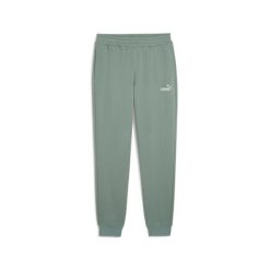 Puma Spodnie Ess 2 Color No.1 Logo Tr Cl 68471430. Zielone szorty męskie Puma, m, bez wzorów, z dresówki. Za 145.99 zł.