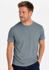 T-shirt w podstawowym stylu TM-RAGNAR. Szare t-shirty męskie Volcano, na wiosnę, m, bez wzorów, z bawełny, biznesowe, bez kołnierzyka. Za 79.99 zł.