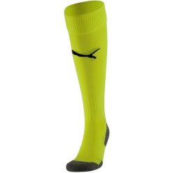 Getry piłkarskie Puma Team Liga Socks Core. Szare legginsy sportowe męskie Puma, bez wzorów, do piłki nożnej. Za 34.90 zł.