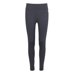 Legginsy damskie Holeen Pro Compression. Szare legginsy damskie Regatta, s, bez wzorów, z dżerseju. W wyprzedaży za 169.99 zł.