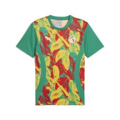 Męska koszulka przedmeczowa Senegal 2025 PUMA Sport Green Faster Yellow Red. Czerwone koszulki sportowe męskie Puma, m, bez wzorów, bez kołnierzyka, bez ramiączek, do piłki nożnej. W wyprzedaży za 238.00 zł.