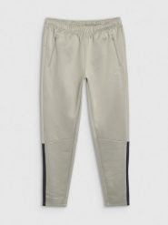 4F Spodnie treningowe szybkoschnące męskie - khaki S. Brązowe spodnie sportowe męskie 4f, m, bez wzorów, z dresówki, na fitness i siłownię. W wyprzedaży za 139.99 zł.
