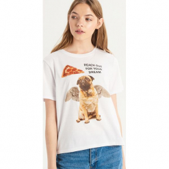 T-shirt ze zwierzakiem - Biały. T-shirty damskie marki Sinsay. Za 19.99 zł.