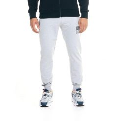 Męskie spodnie dresowe Leone Active. Szare buty sportowe męskie LEONE 1947 APPAREL, z dresówki, bez zapięcia, na fitness i siłownię. W wyprzedaży za 139.75 zł.