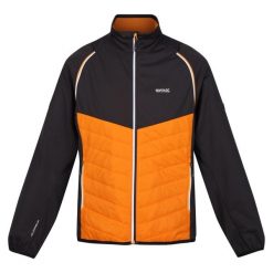 Kurtka Męska Steren Hybrid Soft Shell. Brązowe kurtki sportowe męskie Regatta, m, bez wzorów, z softshellu, trekkingowe. Za 135.99 zł.