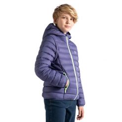 Kurtka turystyczna dla dzieci Lemon Explore WL5 2w1. Niebieskie kurtki i płaszcze dla chłopców LEMON explore, na jesień, bez wzorów, z materiału, z kapturem. Za 189.90 zł.