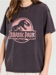 Koszulka oversize Jurassic Park - szary. Szare t-shirty damskie Sinsay, l, bez wzorów, bez kołnierzyka. Za 39.99 zł.