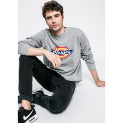 Dickies - Bluza. Szare bluzy męskie Dickies, z nadrukiem, z bawełny. W wyprzedaży za 159.90 zł.