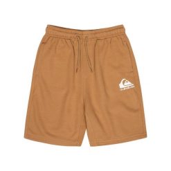 Spodenki z elastyczną talią dla Chłopcy EASY DAY Brązowy. Brązowe szorty dla chłopców Quiksilver, na lato, bez wzorów, z bawełny. Za 119.99 zł.