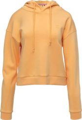Damska bluza Iq cross the line JANETTE WMNS rozmiar XS. Bluzy damskie IQ, xs, bez wzorów, bez kaptura. Za 453.85 zł.
