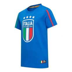 Koszulka męska FIGC Italië Big Logo. Niebieskie koszulki sportowe męskie FIGC, m, bez wzorów, z bawełny, bez kołnierzyka, bez ramiączek, na fitness i siłownię. Za 119.99 zł.