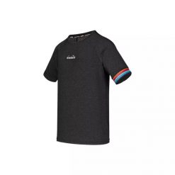 Koszulka męska DIADORA SS T-SHIRT BE ONE. Szare koszulki sportowe męskie Diadora, m, bez wzorów, z elastanu, bez kołnierzyka, bez ramiączek, do biegania. Za 99.99 zł.