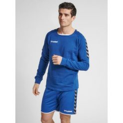 Bluza Hummel hmlAUTHENTIC Training. Czerwone bluzy męskie Hummel, l, bez wzorów, bez kaptura. W wyprzedaży za 189.15 zł.