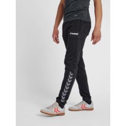 Spodnie do piłki ręcznej męskie Hummel hml AUTHENTIC. Czarne spodnie sportowe męskie Hummel, m, bez wzorów, z bawełny, do biegania. Za 150.00 zł.