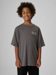 4F T-shirt loose z nadrukiem chłopięcy - szary 134/140 (8-10 lat). Szare t-shirty dla chłopców 4f, bez wzorów, z bawełny, bez ramiączek. Za 59.99 zł.